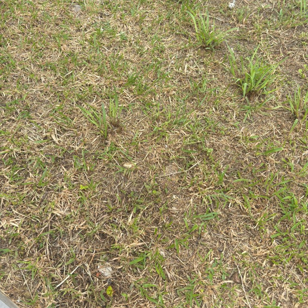 u293-IMG-20251106-WA0035